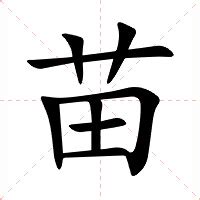 苗意思|苗（汉语汉字）